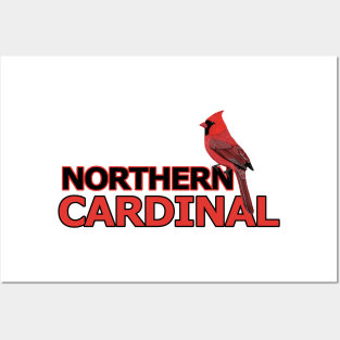 jz.birds Northern Cardinal Bird Watching Design Posters and Art